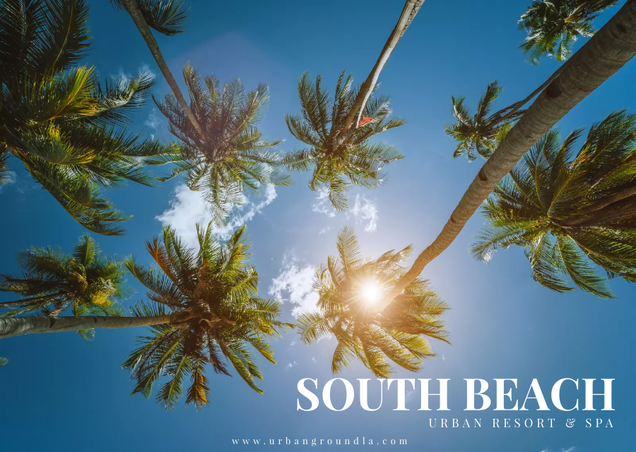South Beach Urban Resort & Spa
